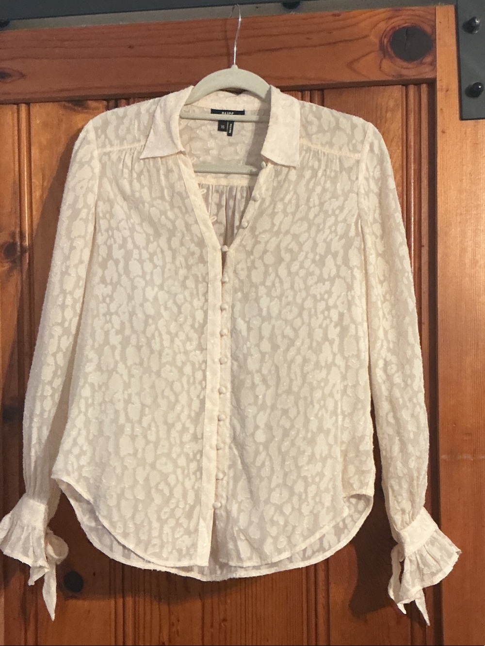Paige Cream Sheer Button-Down Blouse with Textured Animal Print